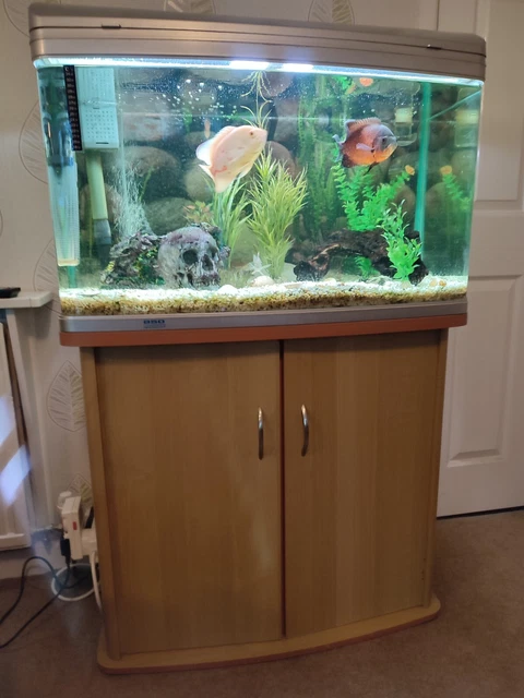Aquastyle  850 Aquarium/fish tank 165L with Cabinet ,  Coldwater or Tropical 