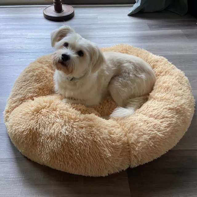 Warm Plush Round Donut Pet Dog Cat Bed Fur Cuddler Soft Puppy Calming Bed Kennel