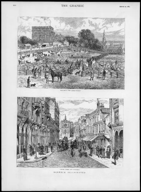 1883 Antique Print - NORFOLK Norwich Castle Cattle Market Guildhall   (160)