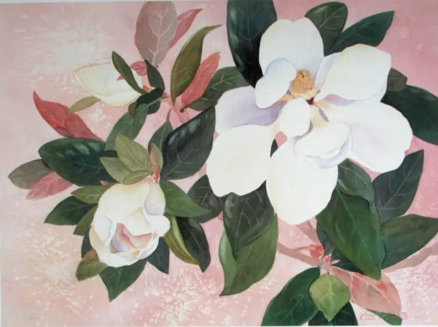 Magnolia Magic II Limited Edition Print Floral Flowers Pink Closeout Sale Price