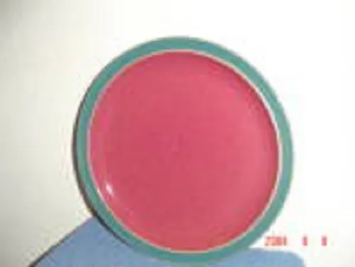 Denby Harlequin Green Red Dinner Plates