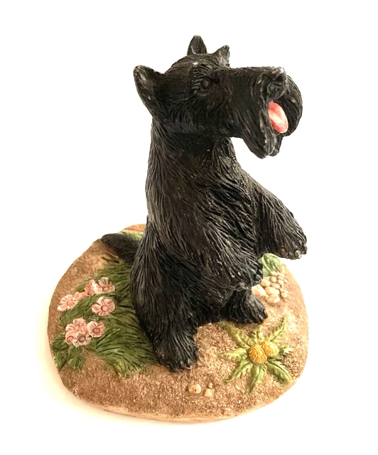 CHARMSTONE EARL SHERWAN Marv-Art Designs Shetland Sheepdog
