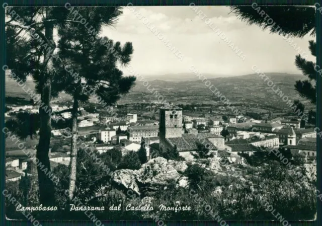 Campobasso Città Castello Monforte Foto FG cartolina KF1918