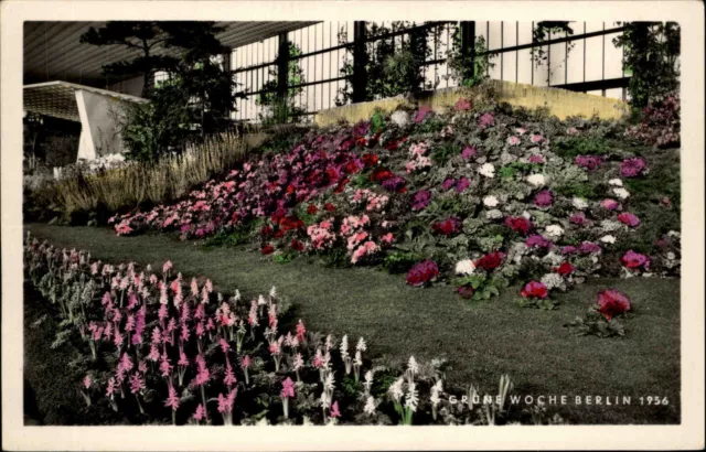 Berlin Color Postkarte 1958 Grüne Woche Ausstellungsanlage Blumenbeet ungelaufen