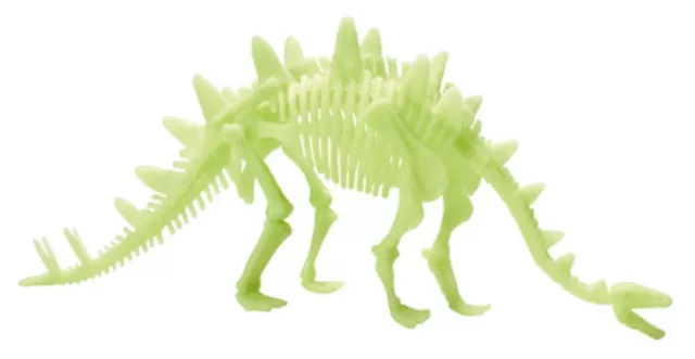 Glow in the Dark Stegosaurus Dinosaur Skeleton Model- Construction Toy 2