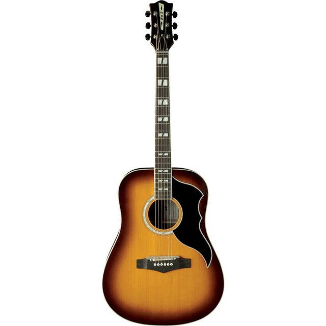 Eko RANGERVR6-EQ-HB - Guitare électro-acoustique Dreadnought - Honey Burst