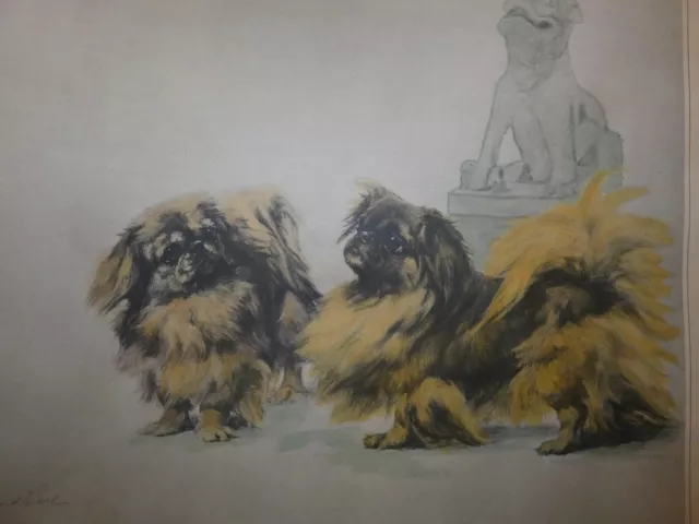 Maud Earl large print Pekingese dogs vintage litho “Royal Ancestry” 18x24