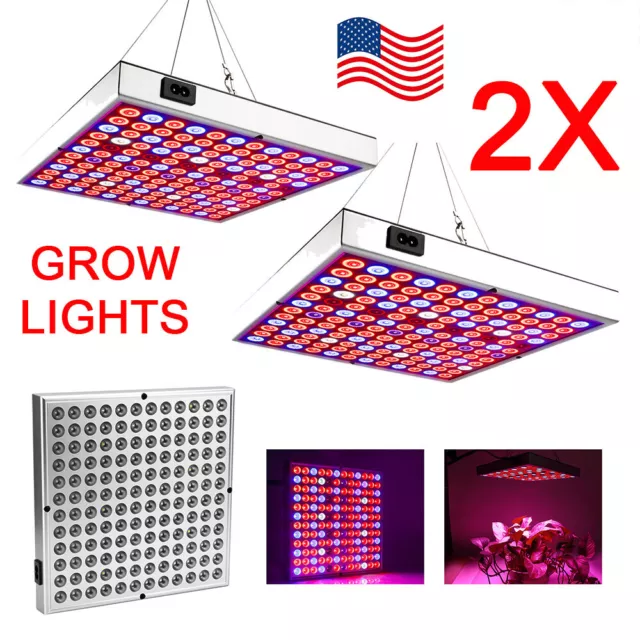 2 Pack 3000W Full Spectrum LED Grow Light for Indoor Hydroponic Plant Flower Veg