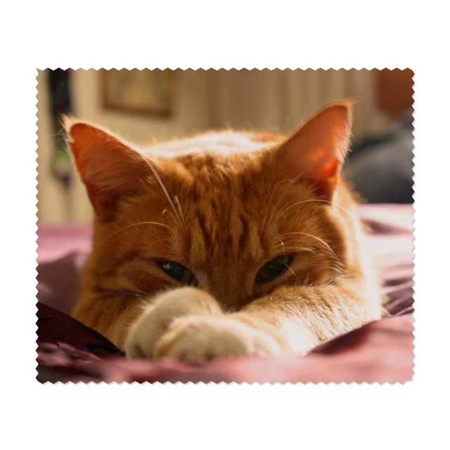 2 x 'Gingembre Tom Chat' Chiffons de nettoyage pour lentilles (LC00006169)