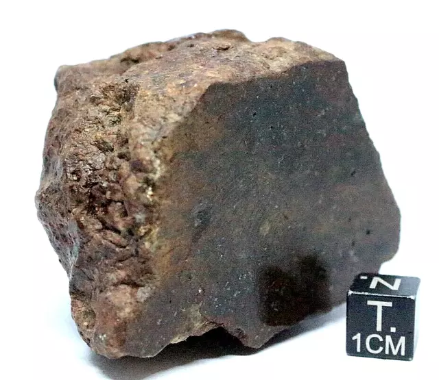NWA XXX Meteorite ~ 211 grams from outer space