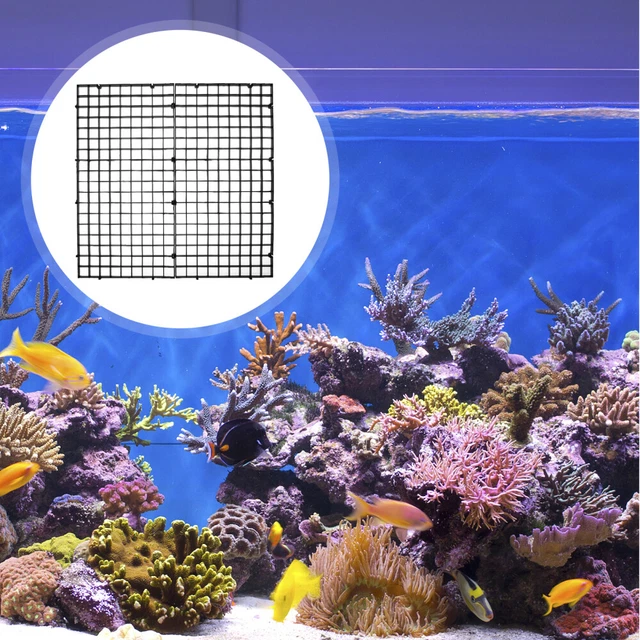 4 Divisori Griglia Per Acquario - PP Con Ventose, 30x15cm E 30x30cm - Foto 4