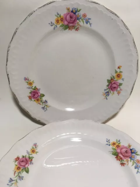 VINTAGE 1940 SWINNERTONS 'LUXOR VELLUM' STAFFORSHIRE 9" CERAMIC PLATES x 2 2