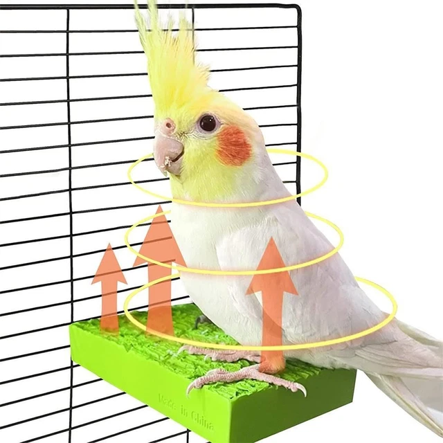 para jaula para loros pájaros loros termostato plato pájaro perca soporte