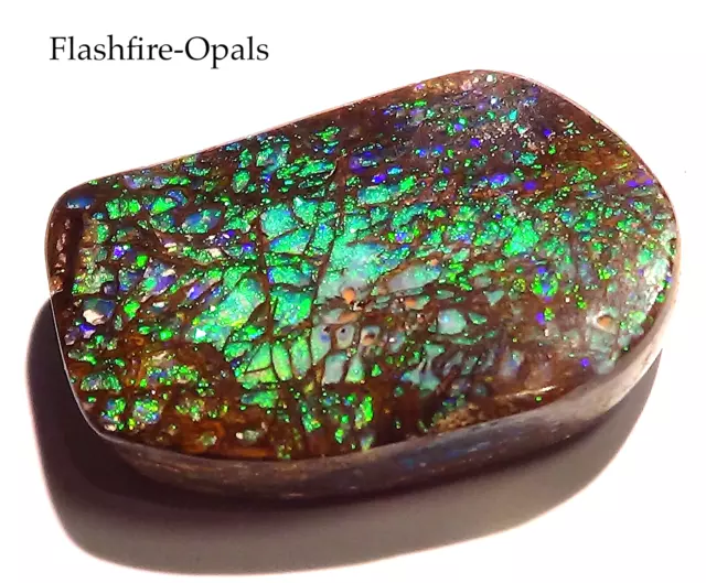 49,7ct SELTENER GEM HOLZ- OPAL Grün-Gold   Kathedral- Pattern  FLASHFIRE-OPALS