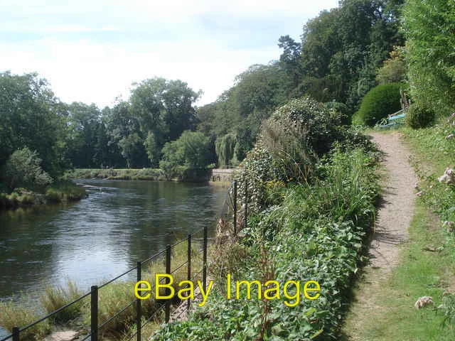 Photo 6x4 Riverside path at The Weir Garden Canon Bridge Looking westward c2007
