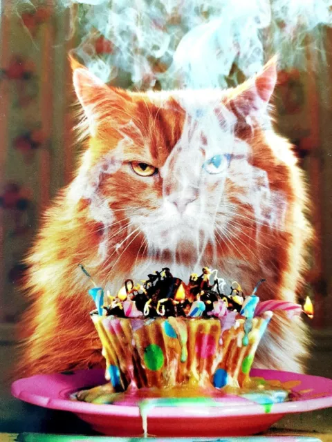 Humorous Avanti Happy Birthday Greeting Card Cat Kitty "Another Blaze of Glory"