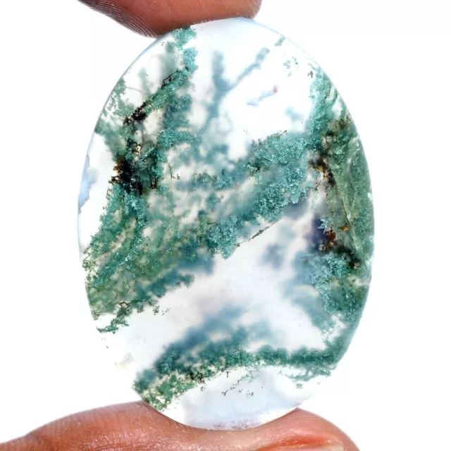Cts. 54.80 Natural Green Tree Moss Agate Cabochon Oval Cab Loose Gemstones