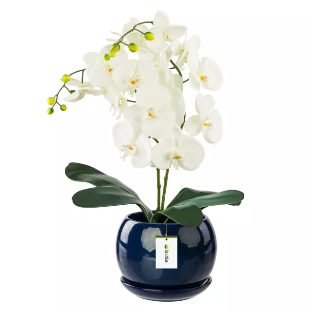 Pot de fleur Blanc avec soucoupe Rond 240 mm x 260 mm Surface