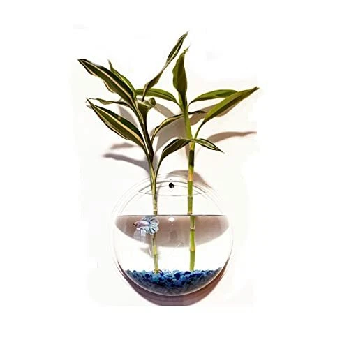2Pack Wall Hanging Fish Tank Mounted Fish Bowl Betta Tank Fish Plant Hanging Pot 2