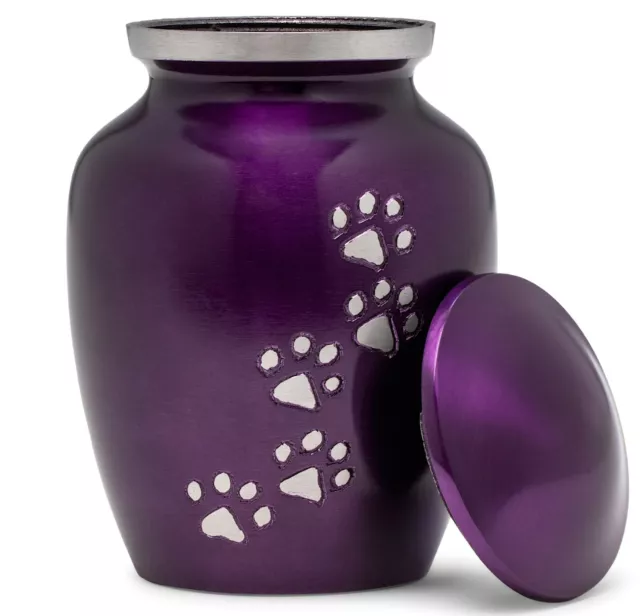 Eternal Harmony Cremation Urn for Pet Ashes |Urn Carefully Handcrafted - 6 Inch