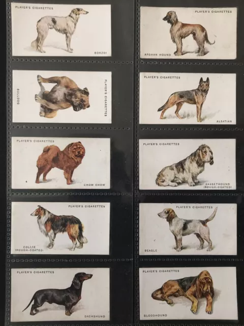 PLAYERS Cigarette Card Set - DOGS (Full length) by Wardle 1931 - Bulldog Mastiff