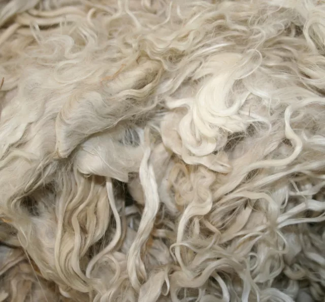 NEW Suri Alpaca Fleece for Crafts Dolls Raw GradeA 50g+ White&Colours 6-8" Long