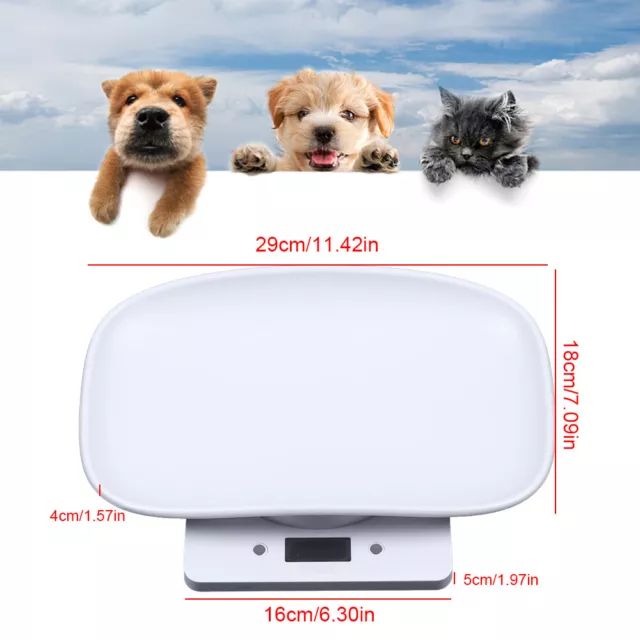 Pet weight scale capacity 100KG KG/LB switchable use for home and clinic  hospital big dog scale - China Other Dog Products & Accessories suppliers &  manufacturers
