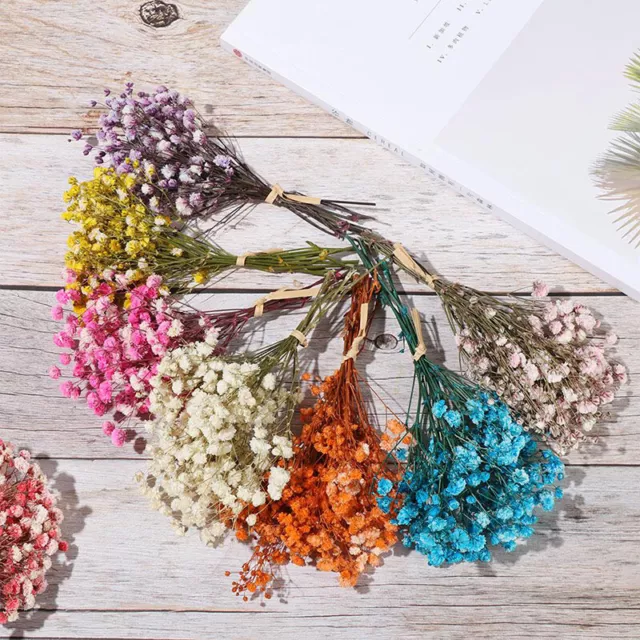 Natural Small Mini Babysbreath Bouquet Dried Flowers Gypsophila Dry Flower 3