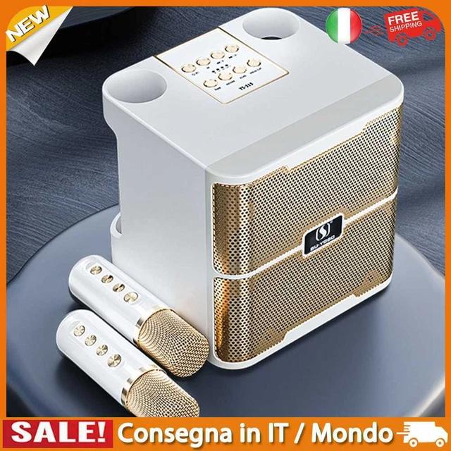 IT Speaker KTV Set 100W High Power Karaoke Machine for Outdoor Party (White)