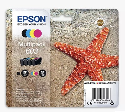 Epson Starfish 603 Ink Catridge - Multipack (C13T03U64010)