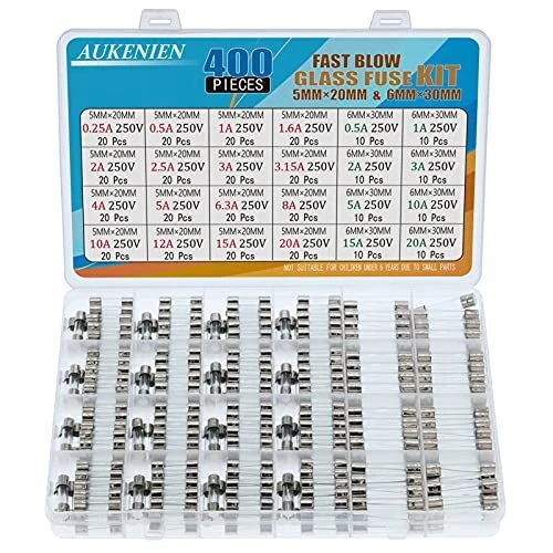 AUKENIEN 24 Valeurs 400 Pièces Fusible en Verre 5x20mm 025A 05A 1A 16A 2A 25A...