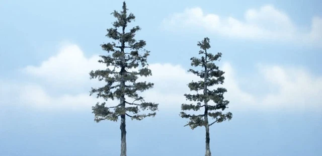 `Pine 5 1/8-4.5`` Prem T        ` (US IMPORT) ACC NEW