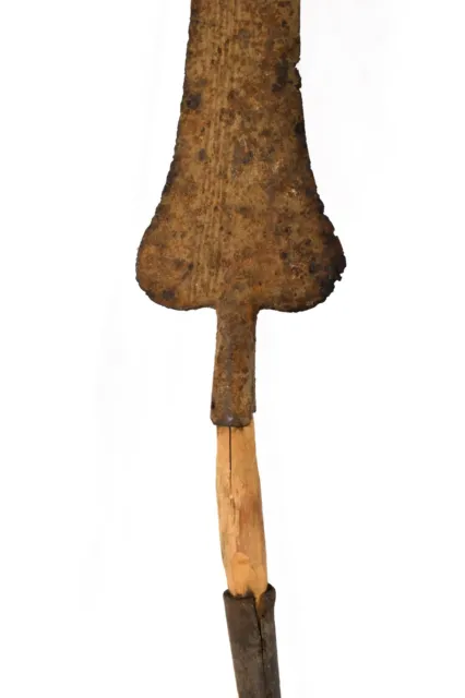 Zulu Spear South Africa 67 inch 2