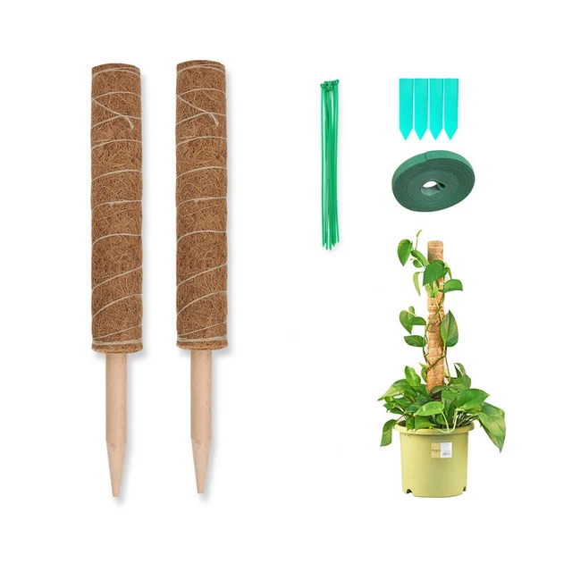 Pflanzstab Kokos Rankstab Rankhilfe mit Pflanzschilder Moosstab 40cm 2er Set