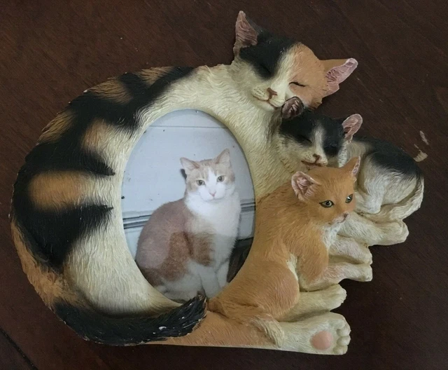 Cat picture frame size 5"x6" holds 3 1/4" x 2 1/4" picture