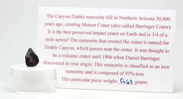 Canyon Diablo Iron Meteorite Specimen Meteor Crater ARIZONA  w/ Case & ID Card 2