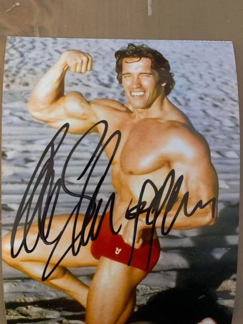 HWC Trading FR A3 Schwarzenegger Mr Olympia Cadeaux Imprimé