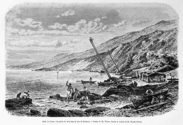 CROATIE - GOLFE de RIJEKA (FIUME): PÊCHE du THON - Gravure du 19e siècle
