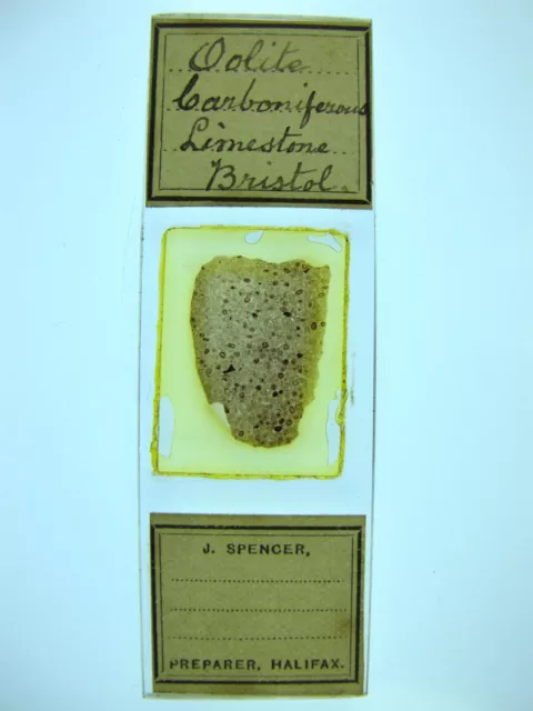 Antique microscope slide by J.Spencer. Carboniferous Limestone from Bristol.