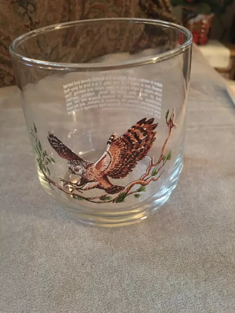 American Wildlife Spotted Owl Drinking Glass Sunoco Oil Service Station Vintage