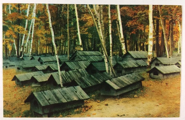 Indian Cemetery on Chicaugon Lake Crystal Falls, Michigan Chrome Postcard Unused