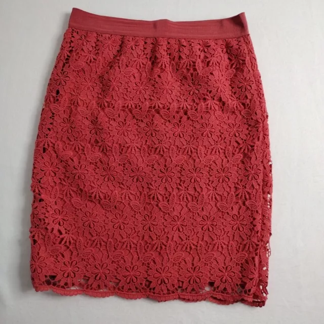 Ann Taylor Skirt Women's 6 Pink Floral Slit Lined Zip Crochet lace