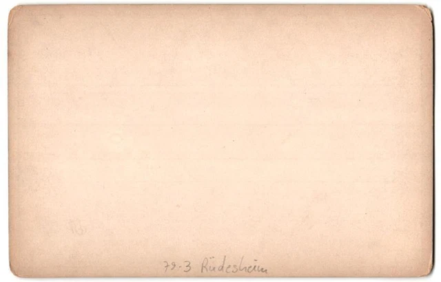 Fotografie F. & O. Brockmann, Dresden, Ansicht Rüdesheim, National-Denkmal auf 2