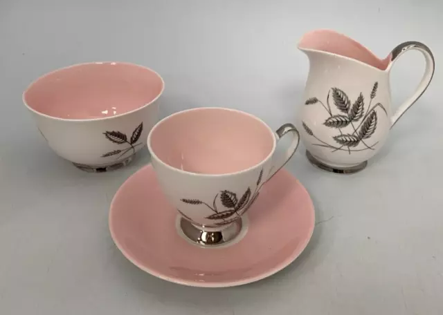 Queen Anne Harvest Pink Fine Bone China 4 Piece Breakfast Tea Set #GL