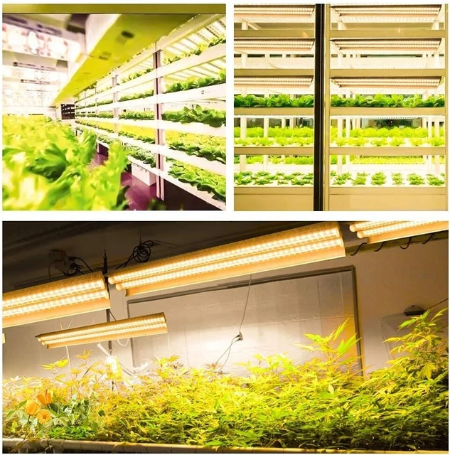 Monios led grow light discount