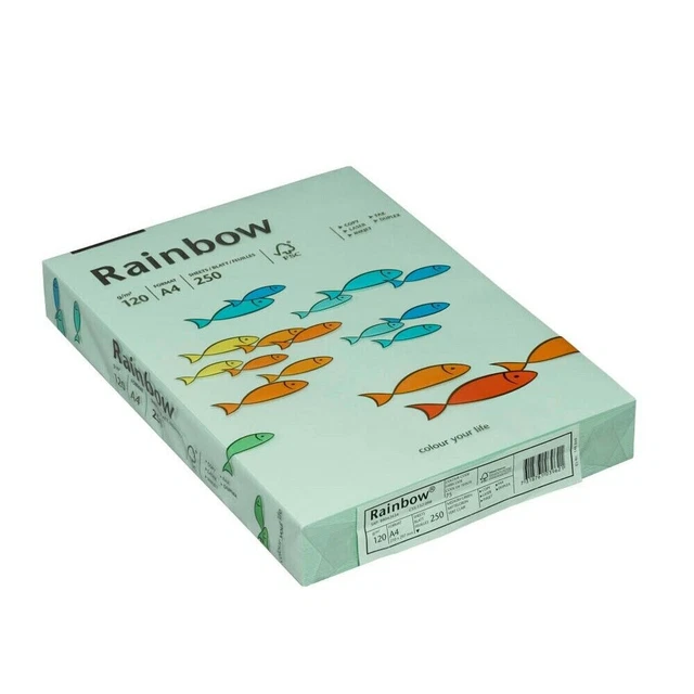 PAPYRUS RAINBOW KOPIERPAPIER Druckerpapier Papier A4 Coloured Paper 120