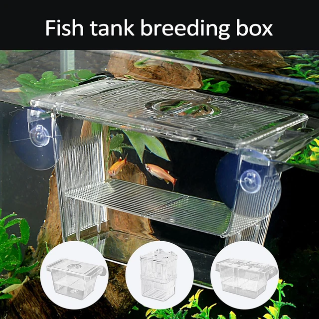 Acrylic Fish Breeding Isolation Box Betta Fish Aquarium Breeder Fish Tank Hatch