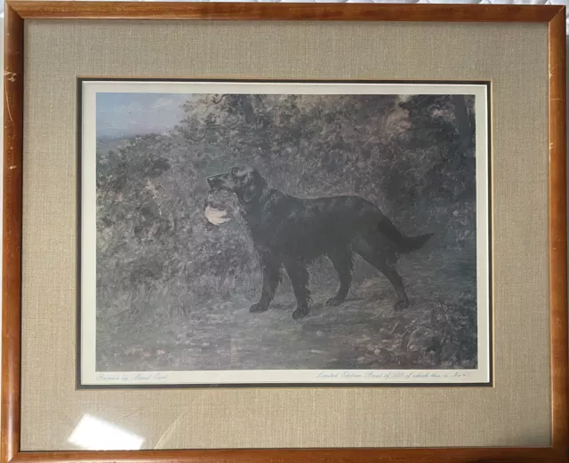 FLAT COATED RETRIEVER Limited Edition PRINT by famous artist MAUD EARL 40/500