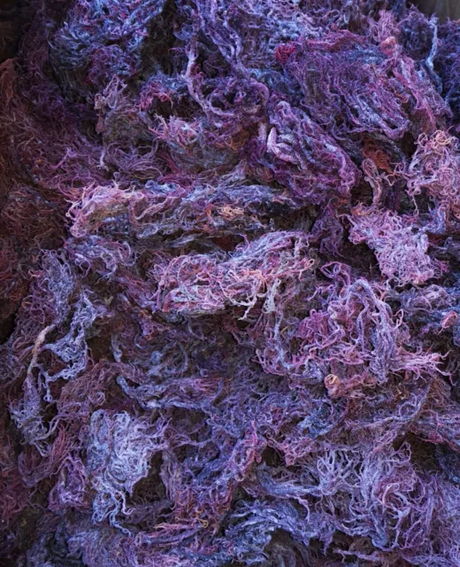 Organic Purple Sea Moss | Wildcrafted | Irish Moss | Genus Gracilaria| Dr Sebi