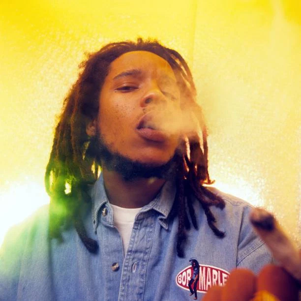 JAMAICAN MUSICIAN STEPHEN Marley, son of Bob Marley, poses for a J ...